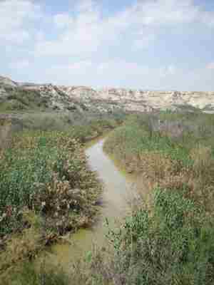 1 View of Jordan River from Adam-Damya B